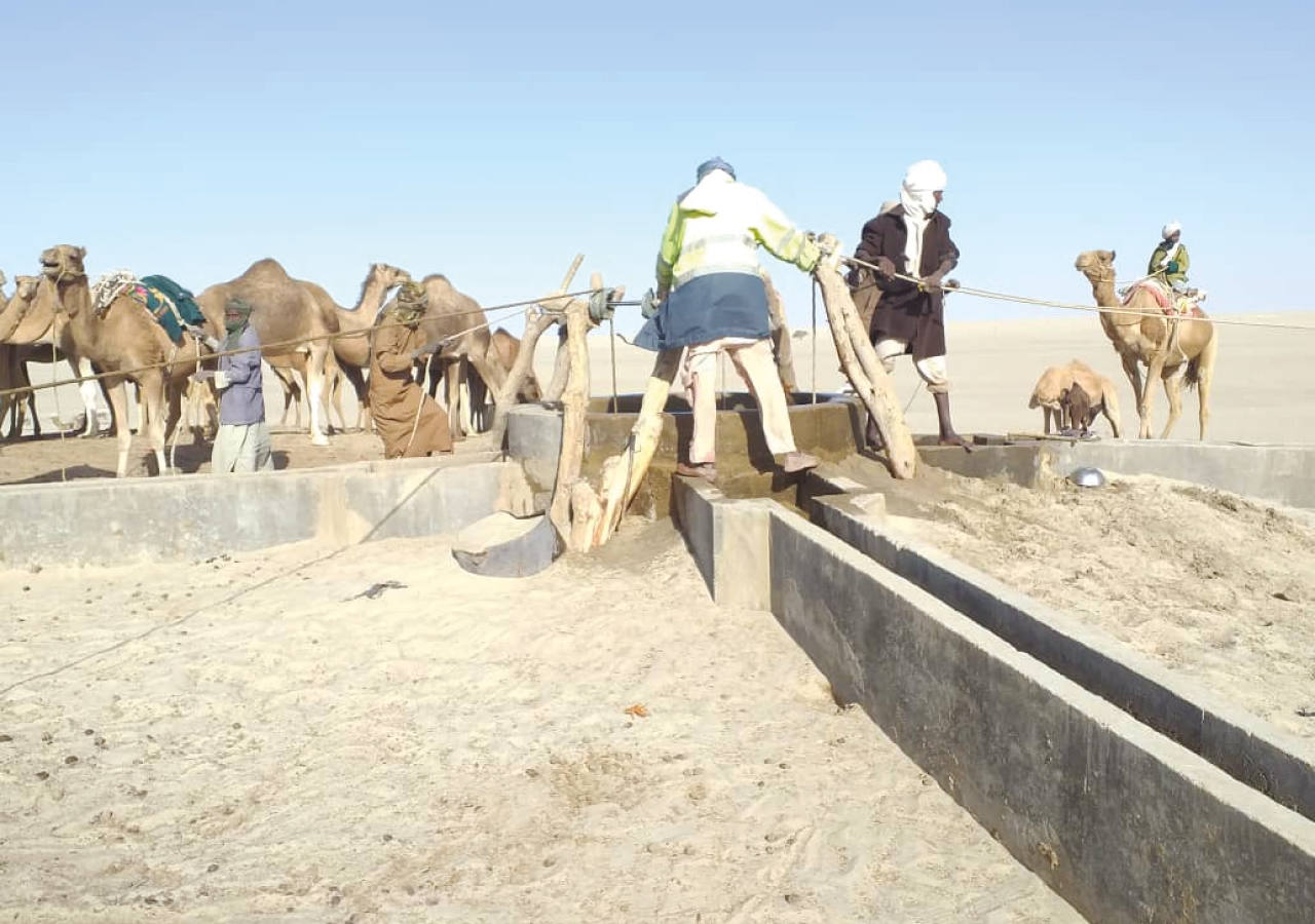 Réhabilitation de puits Pastoraux dans le Sud Borkou, Projet PRAPS TD
